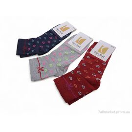 Фотография Носки женские Весна/осень T41 mix (12 шт. р.сетка 36-40) "Textile" недорого оптом от прямого поставщика