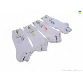 Фотография Носки женские Весна/осень T61 white (12 шт. р.сетка 36-40) "Textile" недорого оптом от прямого поставщика