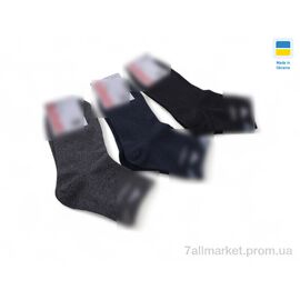 Фотография Носки женские Весна/осень T50 mix (12 шт. р.сетка 36-40) "Textile" недорого оптом от прямого поставщика