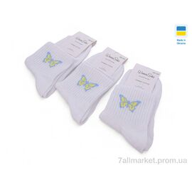 Фотография Носки женские Весна/осень T75 white (12 шт. р.сетка 36-40) "Textile" недорого оптом от прямого поставщика