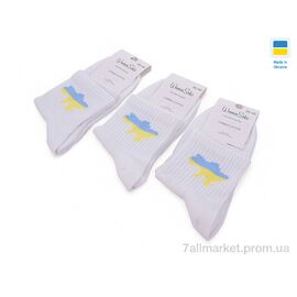 Фотография Носки женские Весна/осень T74 white (12 шт. р.сетка 36-40) "Textile" недорого оптом от прямого поставщика