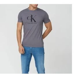 Фотография Футболка мужская 2805 grey р.L-5XL "Алия" недорого оптом от прямого поставщика