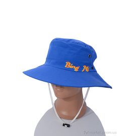 Фотография Панамка Лето LG010-4 blue (54) (5 шт. р.сетка One size) "KUINH" недорого оптом от прямого поставщика