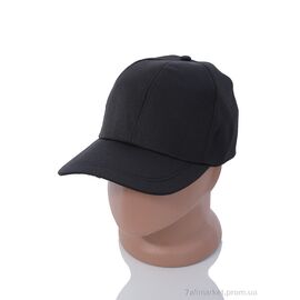 Фотография Кепка для мужчин Весна/осень LG011-3 black (5 шт. р.сетка 57-59) "KUINH" недорого оптом от прямого поставщика