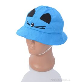 Фотография Панамка Лето BN002-1 blue (52) (5 шт. р.сетка One size) "KUINH" недорого оптом от прямого поставщика