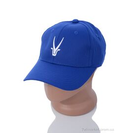Кепка унісекс Літо BN024-7 blue (5 шт. р.сітка57-59) "KUINH" недорого оптом від прямого постачальника