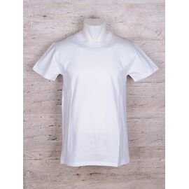 Фотография Футболка мужская A-101 white р.S-2XL "Obuv OK2" недорого оптом от прямого поставщика