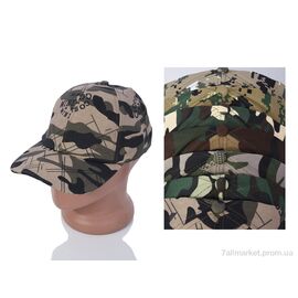 Фотография Кепка для мужчин Лето LM020 mix (5 шт. р.сетка 57-59) "KUINH" недорого оптом от прямого поставщика