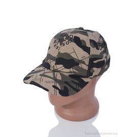 Фотография Кепка для мужчин Лето LM020-1 beige (5 шт. р.сетка 57-59) "KUINH" недорого оптом от прямого поставщика