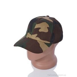 Фотография Кепка для мужчин Лето LM020-4 brown (5 шт. р.сетка 57-59) "KUINH" недорого оптом от прямого поставщика