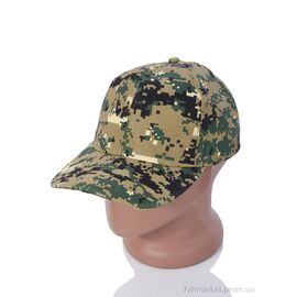 Фотография Кепка для мужчин Лето LM020-6 khaki (5 шт. р.сетка 57-59) "KUINH" недорого оптом от прямого поставщика