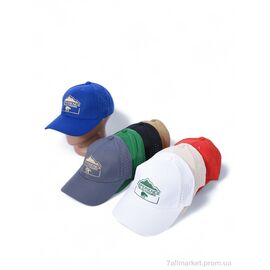Фотография Кепка для мужчин Лето BF003-1 mix (5 шт. р.сетка One size) "KUINH" недорого оптом от прямого поставщика