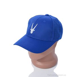 Фотография Кепка для мужчин Лето EX001-1 blue (5 шт. р.сетка One size) "KUINH" недорого оптом от прямого поставщика
