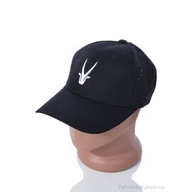 Фотография Кепка для мужчин Лето EX001-2 black (5 шт. р.сетка One size) "KUINH" недорого оптом от прямого поставщика