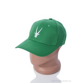 Фотография Кепка для мужчин Лето EX001-4 green (5 шт. р.сетка One size) "KUINH" недорого оптом от прямого поставщика