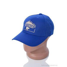 Фотография Кепка для мужчин Лето EX003-1 blue (5 шт. р.сетка One size) "KUINH" недорого оптом от прямого поставщика