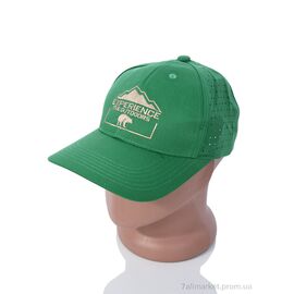 Фотография Кепка для мужчин Лето EX003-3 green (5 шт. р.сетка One size) "KUINH" недорого оптом от прямого поставщика