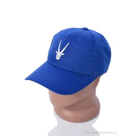 Фотография Кепка для мужчин Весна/осень EX007-4 blue (5 шт. р.сетка One size) "KUINH" недорого оптом от прямого поставщика