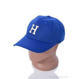 Фотография Кепка для мужчин Весна/осень EX008-1 blue (5 шт. р.сетка One size) "KUINH" недорого оптом от прямого поставщика