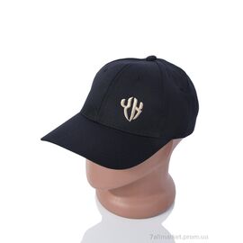 Фотография Кепка для мужчин Весна/осень EX006-2 black (5 шт. р.сетка One size) "KUINH" недорого оптом от прямого поставщика