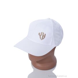 Фотография Кепка для мужчин Весна/осень EX006-3 white (5 шт. р.сетка One size) "KUINH" недорого оптом от прямого поставщика