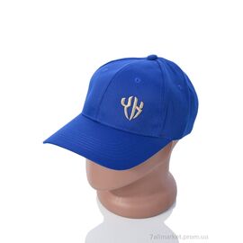 Фотография Кепка для мужчин Весна/осень EX006-5 blue (5 шт. р.сетка One size) "KUINH" недорого оптом от прямого поставщика