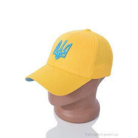 Фотография Кепка для мужчин Весна/осень EX009-1 yellow (5 шт. р.сетка One size) "KUINH" недорого оптом от прямого поставщика