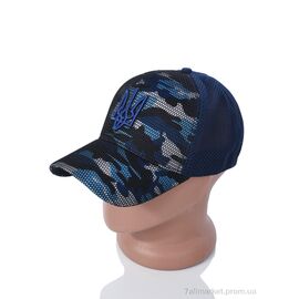 Фотография Кепка для мужчин Весна/осень EX009-2 navy (5 шт. р.сетка One size) "KUINH" недорого оптом от прямого поставщика
