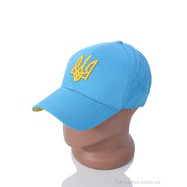 Фотография Кепка для мужчин Весна/осень EX009-3 l.blue (5 шт. р.сетка One size) "KUINH" недорого оптом от прямого поставщика