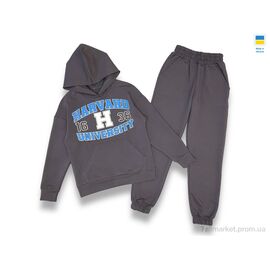 Спортивний костюм дитячий Весна/осінь 2403 grey (128-152) (5 шт. р.сіткаS-2XL) "LiMa" недорого оптом від прямого постачальника