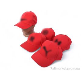 Кепка для чоловіків Літо SL001-2 mix (5 шт. р.сіткаOne size) "VIOLA" недорого оптом від прямого постачальника