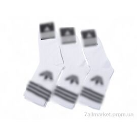 Фотография Носки женские Весна/осень T94 white (12 шт. р.сетка 36-40) "Textile" недорого оптом от прямого поставщика