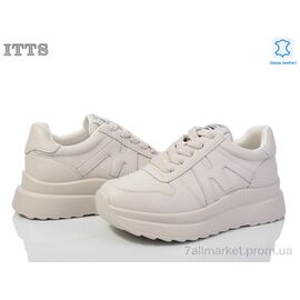 Кросівки жіночі модні Весна/осінь MT64-3 (6 пар р.36-41) "ITTS" недорого оптом від прямого постачальника