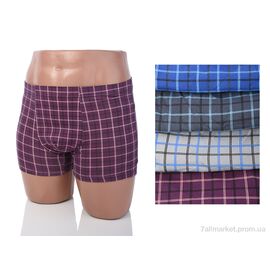 Труси Весна/осінь 61007 (08640) mix (24 шт. р.сіткаXL-4XL) "Obuvok" недорого оптом від прямого постачальника