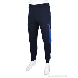 Спортивні штани чоловічі Весна/осінь 1569 navy (5 шт. р.сіткаS-2XL) "Red Hat" недорого оптом від прямого постачальника