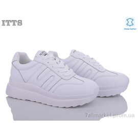 Кросівки жіночі модні Весна/осінь MT66-2 (6 пар р.36-41) "ITTS" недорого оптом від прямого постачальника