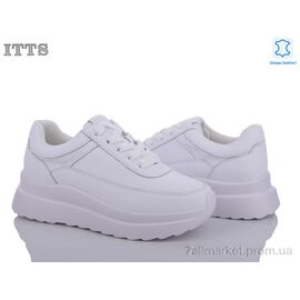 Кросівки жіночі модні Весна/осінь MT59-2 (6 пар р.36-41) "ITTS" недорого оптом від прямого постачальника