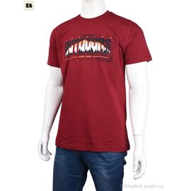 Футболка чоловіча Літо 3707-124-2 bordo (4 шт. р.сіткаM-2XL) "BIG" недорого оптом від прямого постачальника