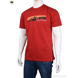 Фотография Футболка мужская Лето 3707-82-4 red (4 шт. р.сетка M-2XL) "BIG" недорого оптом от прямого поставщика