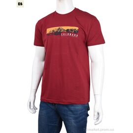 Фотография Футболка мужская Лето 3707-82-5 bordo (4 шт. р.сетка M-2XL) "BIG" недорого оптом от прямого поставщика