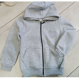 Кофта дитяча спортивна на хлопчика 00075 grey р.10-13 "iBamBino" недорого оптом від прямого постачальника