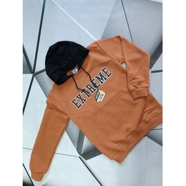 Фотография Худи детский на мальчика 160100 d.beige р.13-16 "iBamBino" недорого оптом от прямого поставщика