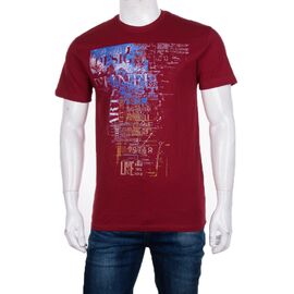 Футболка чоловіча 3707-0057-2 р.M-2XL "BIG clothes" недорого оптом від прямого постачальника