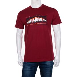 Футболка чоловіча 3707-124-2 р.M-2XL "BIG clothes" недорого оптом від прямого постачальника