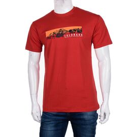 Футболка чоловіча 3707-82-4 р.M-2XL "BIG clothes" недорого оптом від прямого постачальника