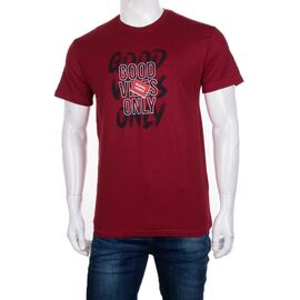 Футболка чоловіча 3707-0061-1 р.M-2XL "BIG clothes" недорого оптом від прямого постачальника