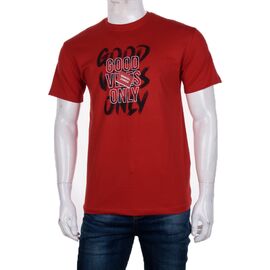 Футболка чоловіча 3707-0061-3 р.M-2XL "BIG clothes" недорого оптом від прямого постачальника