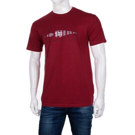 Футболка чоловіча 3707-0064-1 р.M-2XL "BIG clothes" недорого оптом від прямого постачальника