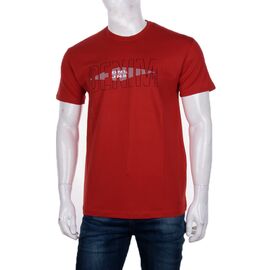 Футболка чоловіча 3707-0064-2 р.M-2XL "BIG clothes" недорого оптом від прямого постачальника