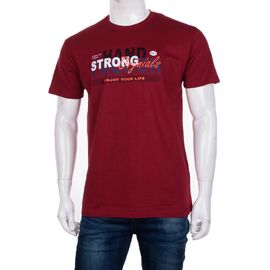 Фотография Футболка мужская 3707-063-4 р.M-2XL "BIG clothes" недорого оптом от прямого поставщика